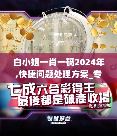 白小姐一肖一码2024年,快捷问题处理方案_专业版2.597