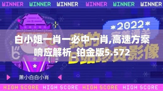 白小姐一肖一必中一肖,高速方案响应解析_铂金版5.572