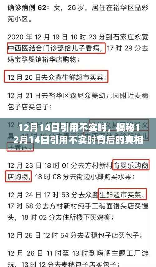 揭秘,12月14日引用背后的真相探索之旅(小红书带你揭秘)