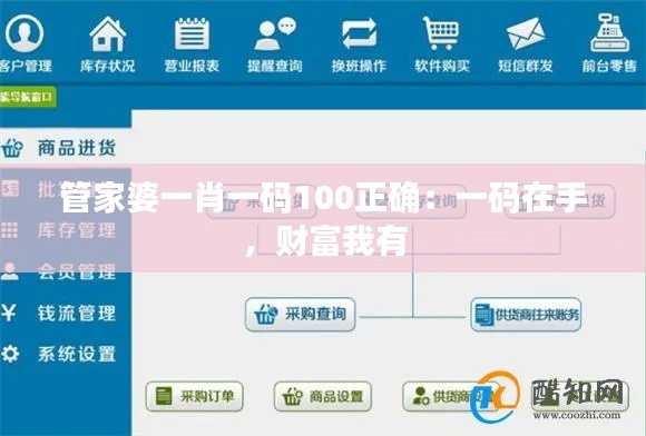 管家婆一肖一码100正确:一码在手,财富我有