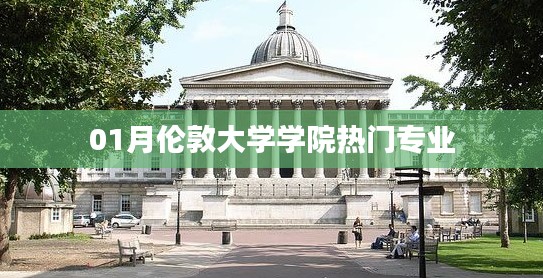 伦敦大学学院热门专业榜单(最新一月版)