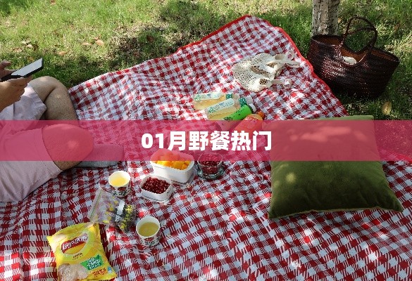 热门野餐攻略,一月出游必备!