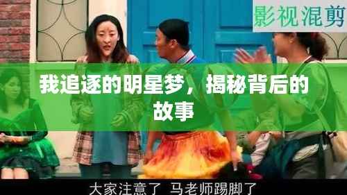 我追逐的明星梦,揭秘背后的故事
