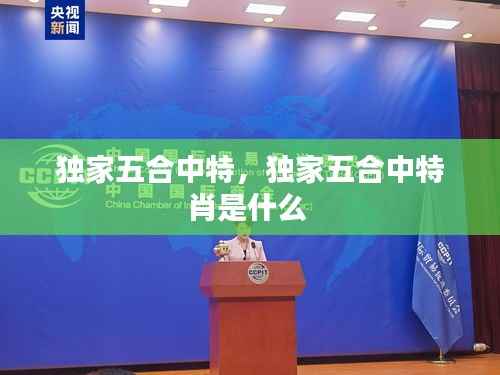 独家五合中特,独家五合中特肖是什么