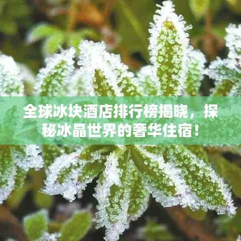 全球冰块酒店排行榜揭晓,探秘冰晶世界的奢华住宿!
