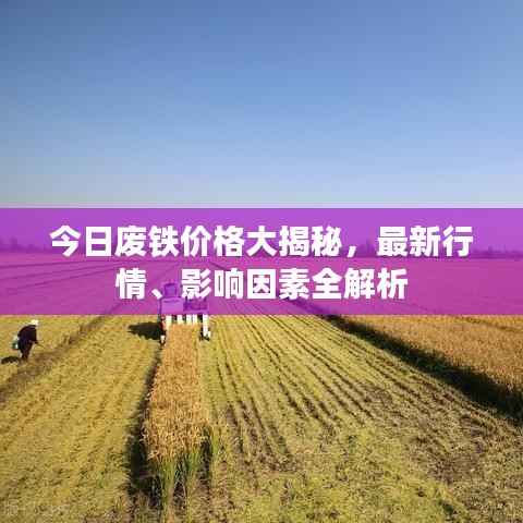 今日废铁价格大揭秘,最新行情、影响因素全解析