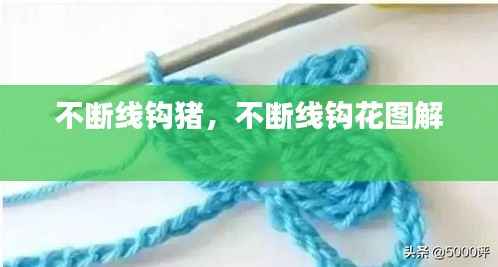 不断线钩猪,不断线钩花图解