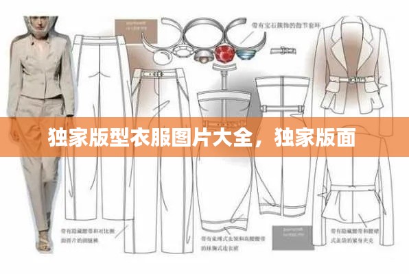 独家版型衣服图片大全,独家版面