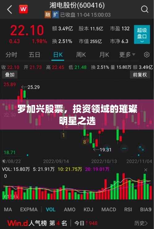 罗加兴股票,投资领域的璀璨明星之选