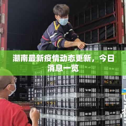 潮南最新疫情动态更新，今日消息一览