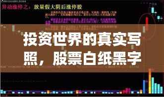 投资世界的真实写照,股票白纸黑字的历程