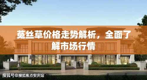 菟丝草价格走势解析，全面了解市场行情