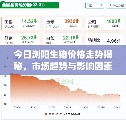 今日浏阳生猪价格走势揭秘,市场趋势与影响因素分析