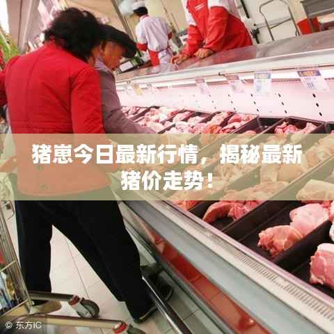 猪崽今日最新行情,揭秘最新猪价走势!