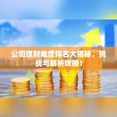 公司理财难度排名大揭秘,挑战与解析攻略!