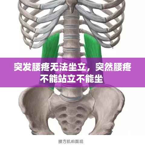 突发腰疼无法坐立，突然腰疼不能站立不能坐 