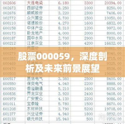 股票000059，深度剖析及未来前景展望
