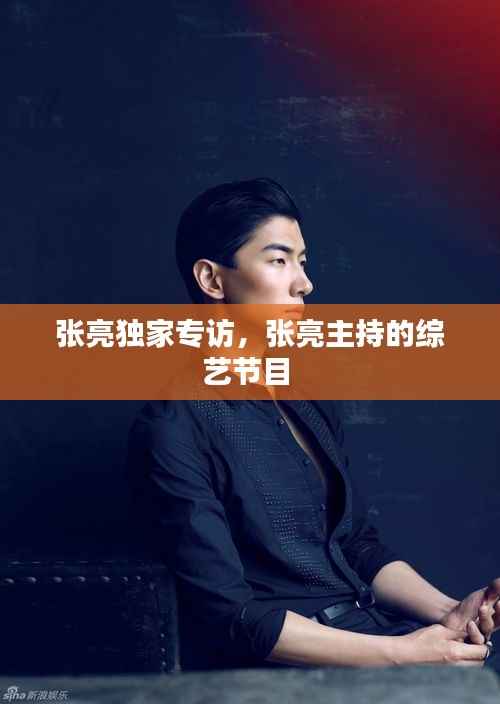 张亮独家专访，张亮主持的综艺节目 