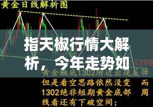 指天椒行情大解析,今年走势如何?