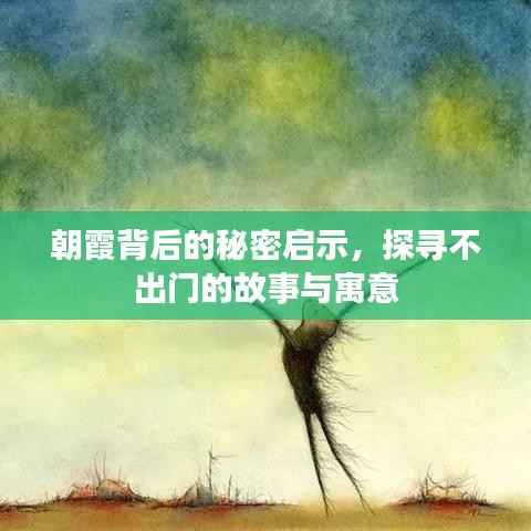朝霞背后的秘密启示,探寻不出门的故事与寓意